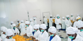 Ghana Statistical Service and UNDP partner to track impacts of COVID-19 on businesses and border economies