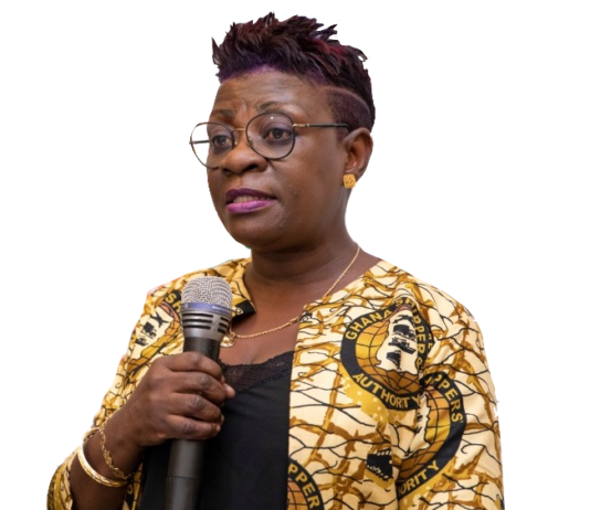 ICUMS frustration: Demurrage, congestion surcharge loom for freight forwarders