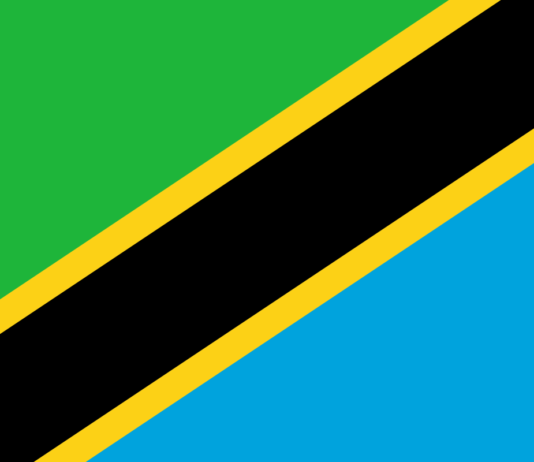 Tanzania says it has begun negotiations over debt relief to shore up economy