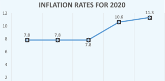 High demand for food pushes inflation up, hits 11.3%