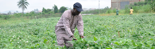 A COVID-19 ‘new deal’ for informal workers?