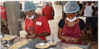 Defunct Kona Agro Processing to bounce back …as it secures a deal with Australian firm