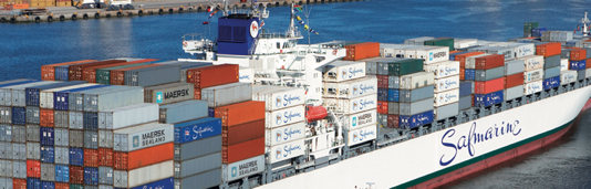 Will COVID-19 spell the end for globalisation?