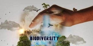 Editorial: Today is World Environment Day