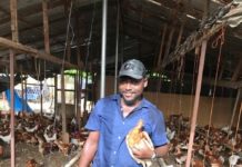 Inspiring Startups … Meet Yahaya: the young poultry farmer who ‘cannot be stopped by a virus’
