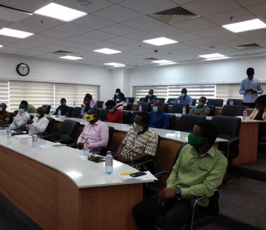 Reviving economy: GEPA targets youth in agriculture for export market