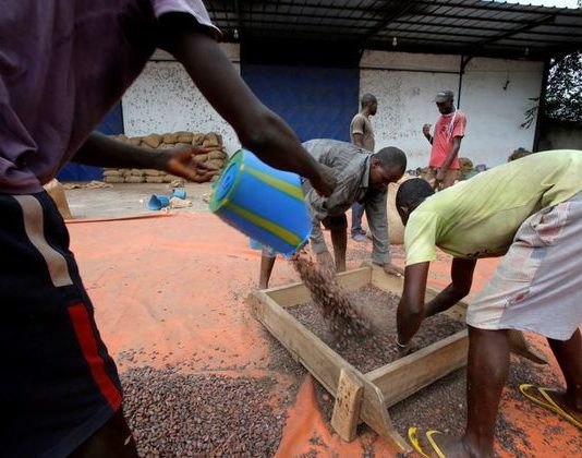 Ivory Coast rejects report showing rising child labour in cocoa sector