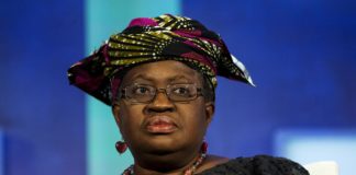 Nigeria’s WTO candidate gets regional backing: document