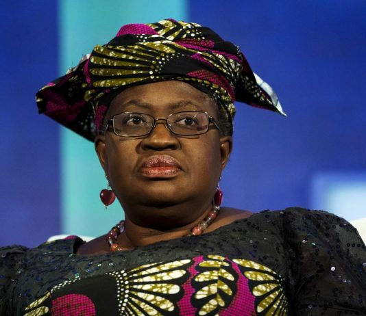 Nigeria’s WTO candidate gets regional backing: document