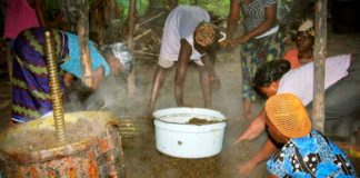 50% benchmark value policy on imports killing local oil palm sector