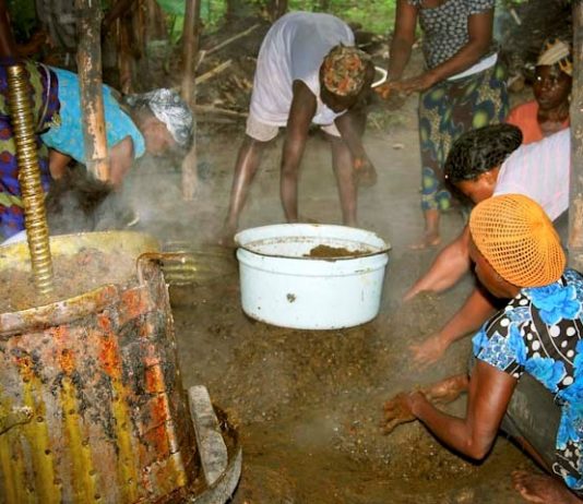 50% benchmark value policy on imports killing local oil palm sector