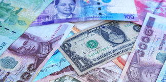 Currencies and crisis: how dominant currencies limit the impact of exchange rate flexibility