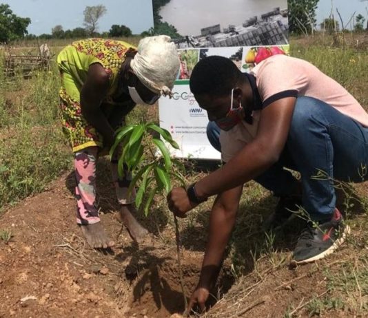 EU/GIZ-REACH Project plants 22,000 seedlings in Upper West, Savannah Regions