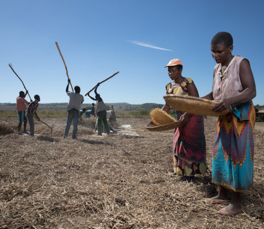 Editorial: MFIs’ peril exacerbated by COVID’s disruption of global supply chains