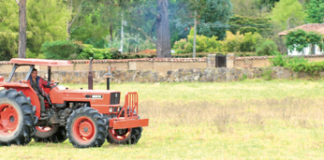 COVID-19 and food security: challenges and opportunities in emerging markets