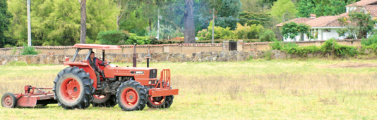 COVID-19 and food security: challenges and opportunities in emerging markets