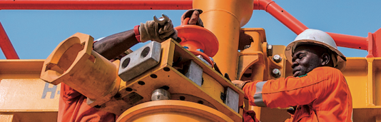 COVID-19 and the oil price slump in Africa: which countries will fare better?