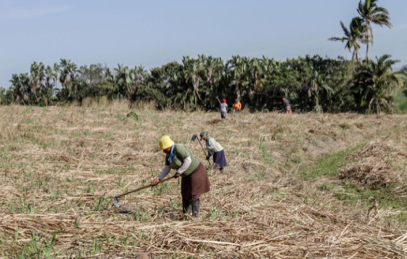 Nkoranza residents prefer agric to leasing farmlands for mining & oil projects