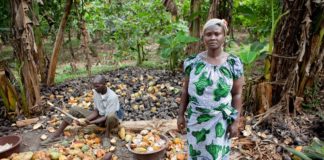 German confectioners want LID tariff paid directly to farmers in Ghana & Ivory Coast