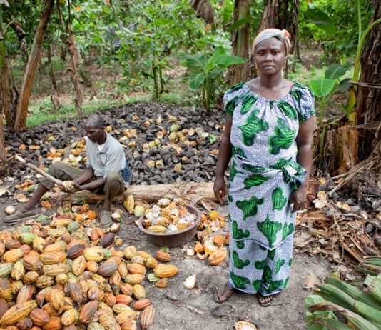 German confectioners want LID tariff paid directly to farmers in Ghana & Ivory Coast