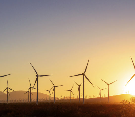 1,000MW wind power project halted