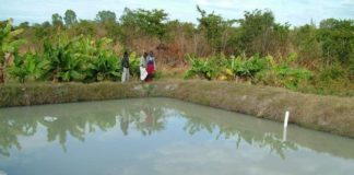 Fish farmers battle Newmont over compensation packages