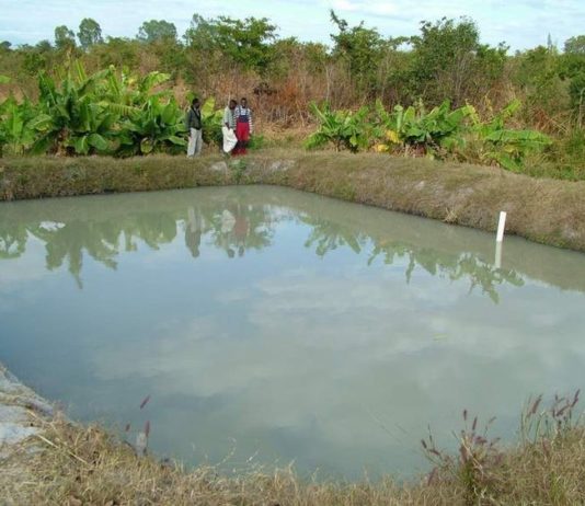 Fish farmers battle Newmont over compensation packages