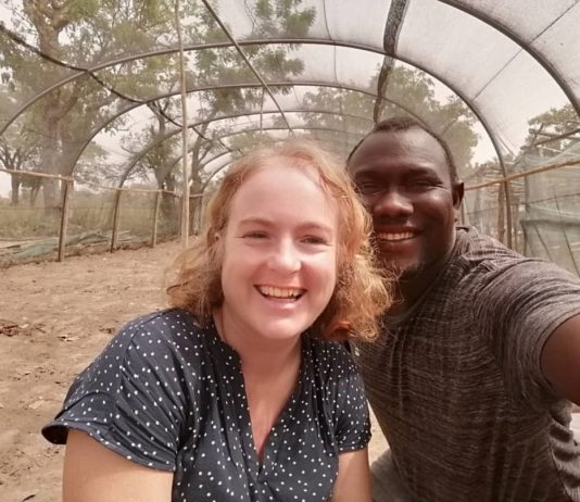 The social enterprise using Moringa to fight malnutrition