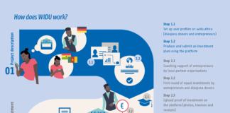 Using technology to improve remittance usage for sustainable development