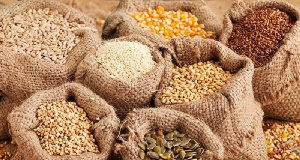 CSOs call on gov’t, political parties to empower local seed industry