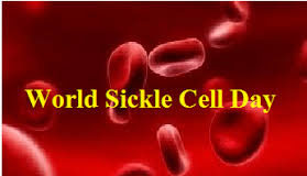 Sickle Cell Foundation marks 2020 World Sickle Cell Day with a Virtual lecture