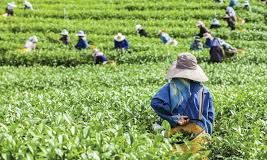 Extreme poverty rises and a generation sees future slip away