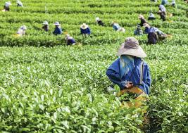 Extreme poverty rises and a generation sees future slip away