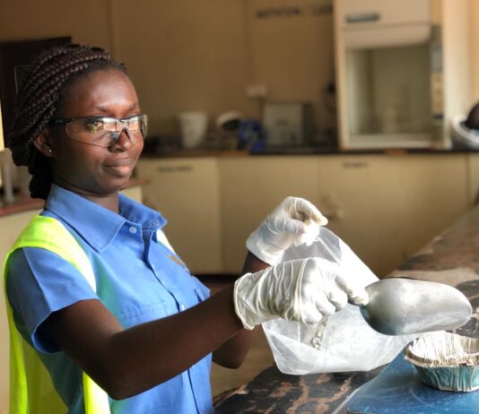 The beginning of a thrilling career journey at Gold Fields ….Abena Andoh-Mensah, Metallurgist, Abosso Goldfields Limited (Damang Mine)