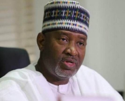 Nigeria to bar flights from countries that block Nigerians – Minister