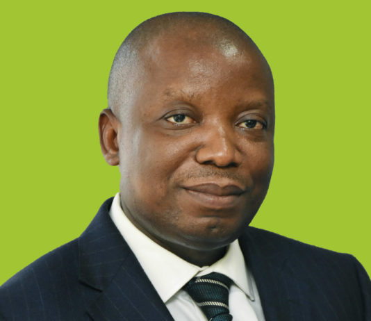 CARES can adversely affect debt stock if not properly managed – Deloitte cautions