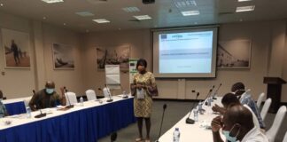 EU-EMAGIN project organises policy roundtable in Central and Western Regions