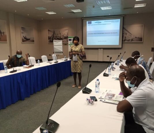 EU-EMAGIN project organises policy roundtable in Central and Western Regions