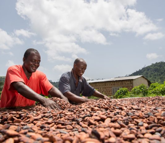 Cheaper cocoa may not be a recipe for lower chocolate prices