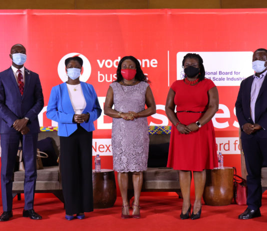 Schools, arts to get more attention from GH¢150m CAP top-up funds – NBSSI