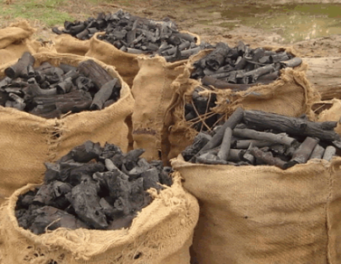 Charcoal imports on the rise …consumers say imports are of better quality than locally-produced