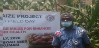 Editorial : Vitamin ‘A’ rich maize production could help infant mortality