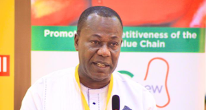 Gov’t steps up efforts to make cashew sub-sector competitive