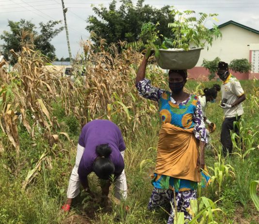 GTA embarks on tree planting exercise at Yumba Special School