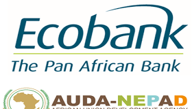 Editorial : Need to empower African MSMEs to stimulate growth