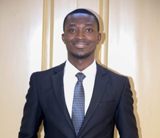 Portfolio diversification: a key to risk mitigation in investment