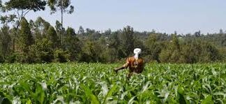 Editorial : Seal gaps in PFJ programme