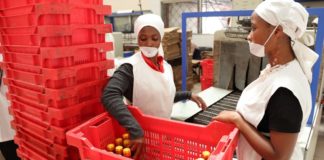 COVID-19 forced businesses in Ghana to reduce wages for over 770,000 workers, and caused about 42,000 layoffs – research reveals