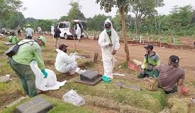 Pandemic pace slows worldwide except for southeast Asia, eastern Med – WHO