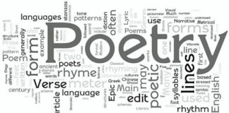 Poetry Corner: Erectioneering vices